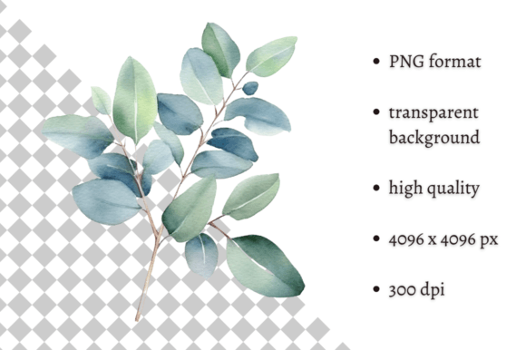 Download Watercolor Eucalyptus Leaves Clipart - Premium Resources